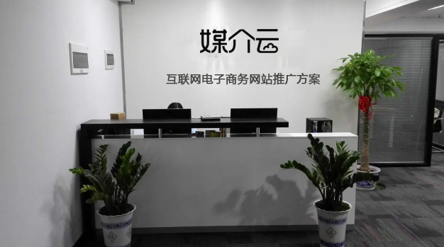 電子商務(wù)網(wǎng)站推廣方案